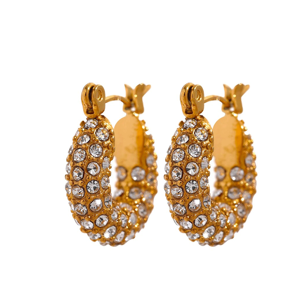 Soul Earrings - Gold Zirconia - Stainless Steel